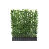 Kant-en-klaar haag Hedera Hibernica – 120x120cm