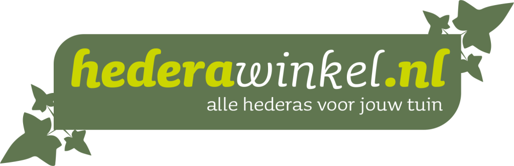 Hederawinkel